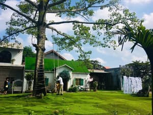 thumbnail: Garden view