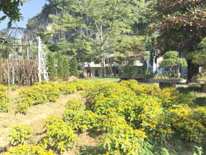 thumbnail: Front of property