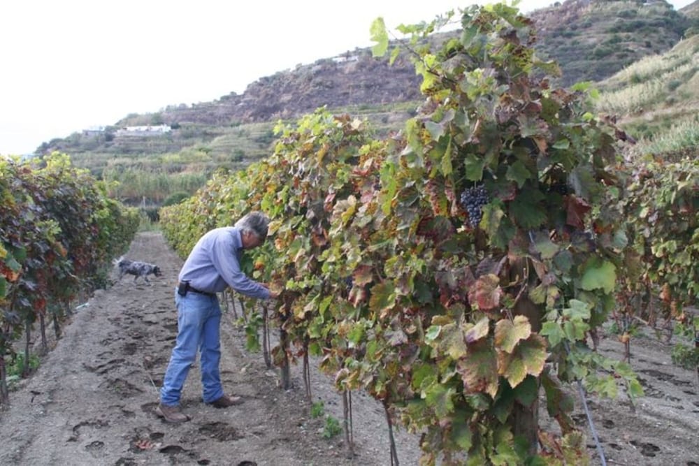 Winery