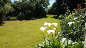 thumbnail: Property grounds