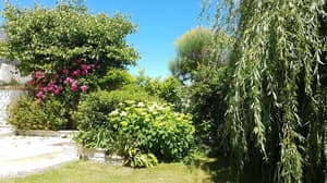 thumbnail: Garden