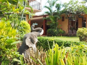 thumbnail: Garden
