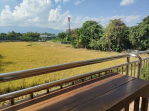 thumbnail: View from room