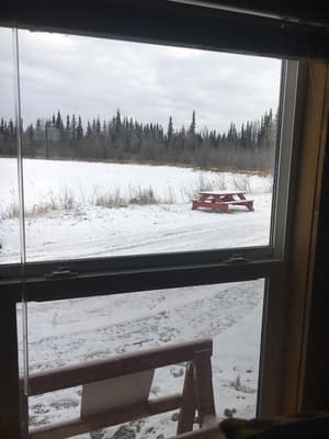 thumbnail: Property grounds