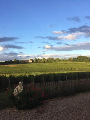 thumbnail: General view