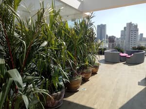 thumbnail: Terrace/patio