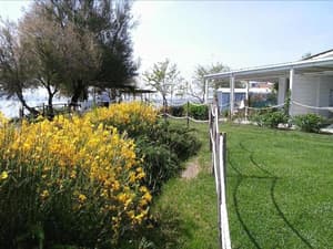 thumbnail: General view