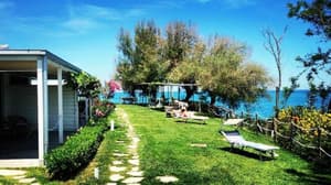 thumbnail: General view