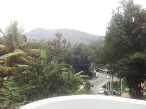 thumbnail: Garden view