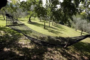 thumbnail: Property grounds