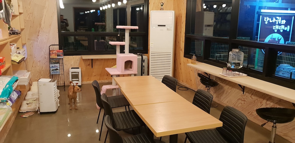 Cafe