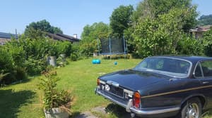 thumbnail: Garden