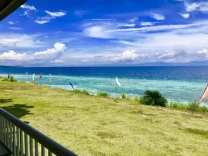 thumbnail: General view
