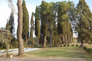 thumbnail: Property grounds
