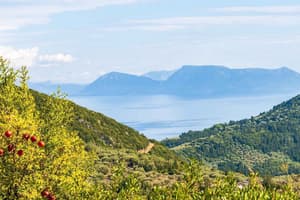 thumbnail: Land view from property