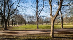 thumbnail: Property grounds