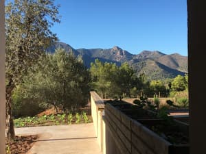 thumbnail: Mountain view