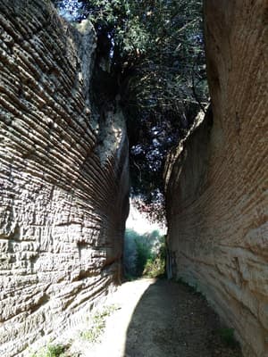 thumbnail: General view