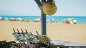 thumbnail: Sundeck