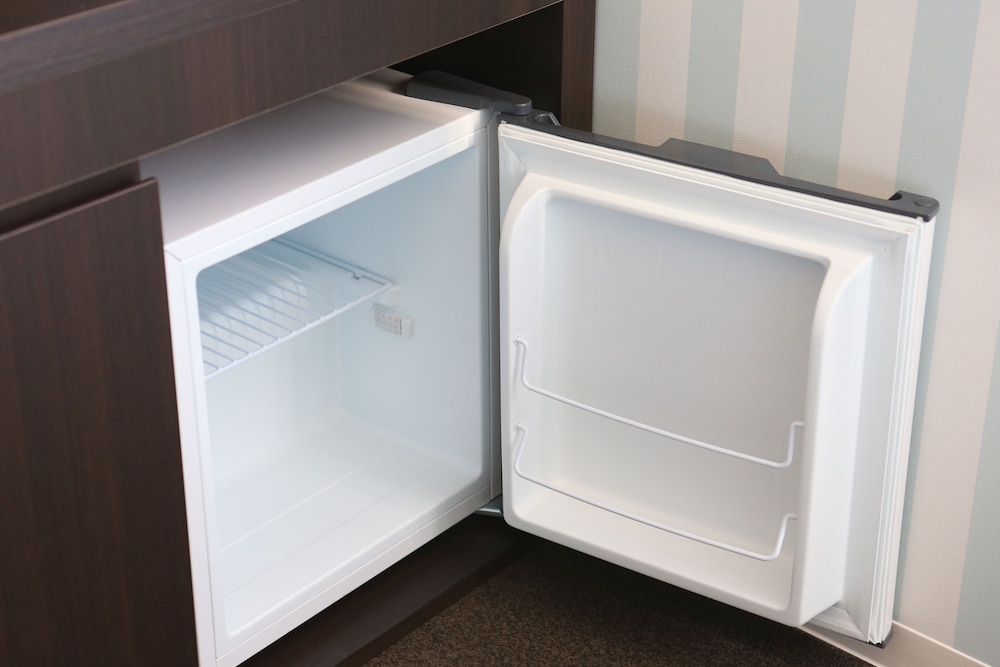 Mini-refrigerator