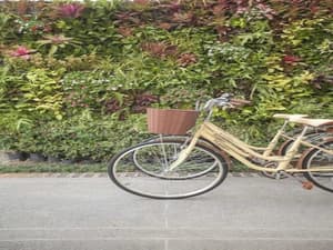 thumbnail: Bicycling