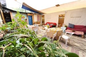 thumbnail: Garden