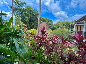 thumbnail: Terrace/patio