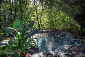 thumbnail: Hot springs