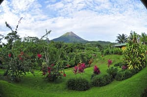 thumbnail: View from property