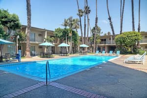 thumbnail: Outdoor pool