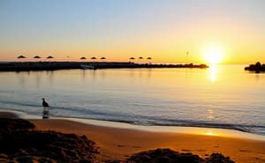 thumbnail: Beach