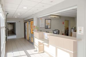 thumbnail: Reception