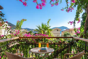 thumbnail: Garden view
