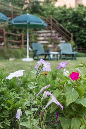 thumbnail: Garden
