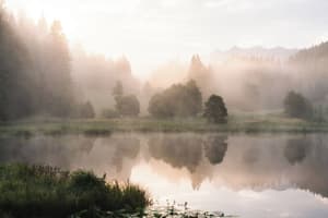 thumbnail: Land view from property