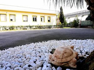 thumbnail: General view