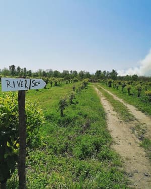 thumbnail: General view