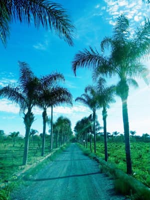 thumbnail: General view
