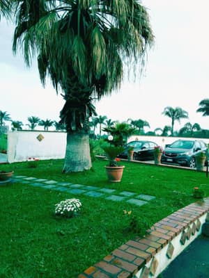 thumbnail: General view