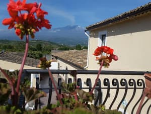 thumbnail: General view
