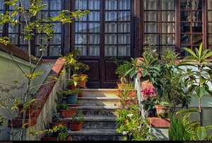 thumbnail: General view