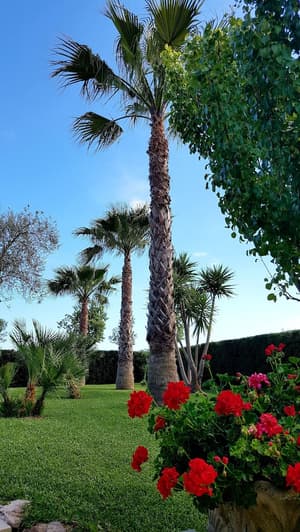 thumbnail: Garden