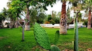 thumbnail: Garden