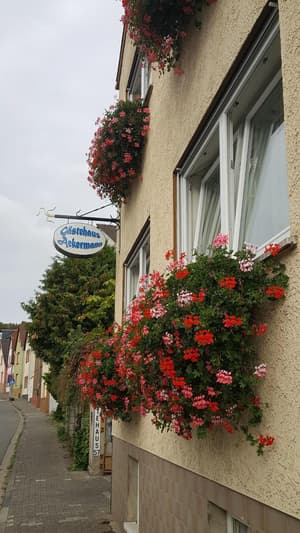 thumbnail: General view