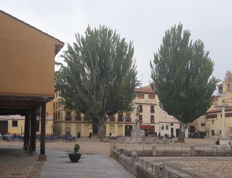 General view