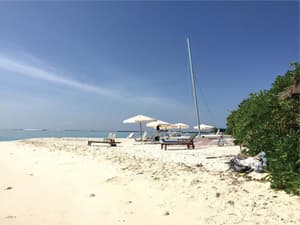thumbnail: Beach