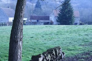 thumbnail: Property grounds