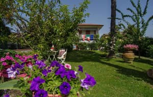 thumbnail: General view