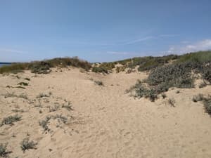 thumbnail: Beach