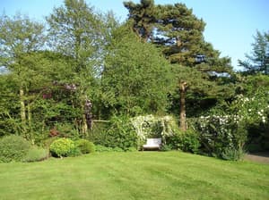 thumbnail: Garden